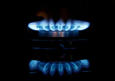 Thermador-Appliance-Repair--in-La-Canada-Flintridge-California-Thermador-Appliance-Repair-3286192-image