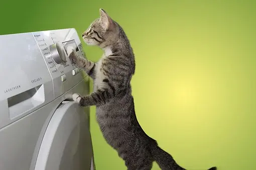 Whirlpool-Appliance-Repair--in-Villa-Park-California-whirlpool-appliance-repair-villa-park-california.jpg-image